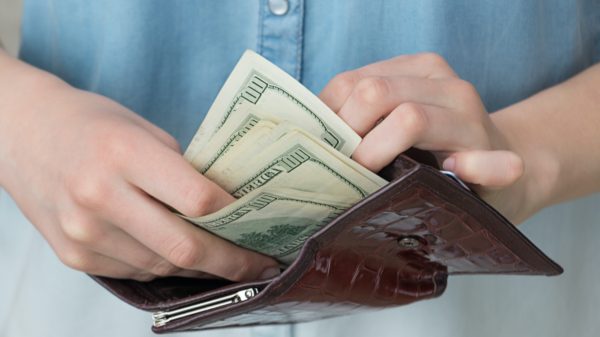 A girl with a wallet in her hands, business, savings, investment, paper, banking, financial, bank, h